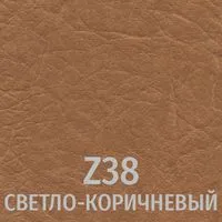 Z38