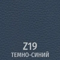 Z19